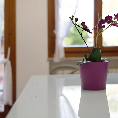 Apartment Monolocale